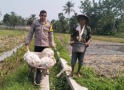 Potret Sinergi Polri dan Petani di Lombok Barat: Mengawal Kemandirian Pangan Langsung dari Pematang Sawah
