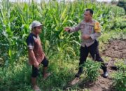 Bhabinkamtibmas Bagik Polak Barat Pacu Ketahanan Pangan