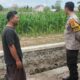 Polsek Labuapi Kawal Program Ketahanan Pangan Nasional