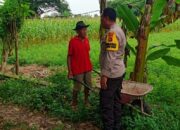 Langkah Nyata Polsek Labuapi Dorong Kemandirian Ekonomi Warga Lewat Ketahanan Pangan