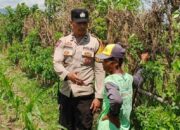 Bhabinkamtibmas Labuapi Ajak Warga Mandiri Pangan