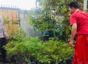 Strategi Polsek Labuapi Perkuat Ekonomi Warga Melalui Pemanfaatan Lahan Pekarangan Sebagai Sumber Pangan