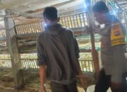 Bhabinkamtibmas Gerung Dorong Peternak Mandiri: Kunci Rahasia Stabilitas Pangan