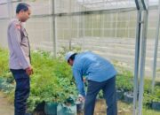 Polsek Labuapi Dorong Ketahanan Pangan Lewat Pekarangan Rumah