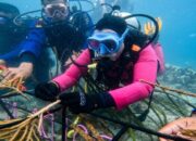 Bukan Sekadar Seremonial, Bhayangkari NTB Buktikan Kepedulian Lingkungan dengan Penanaman Terumbu Karang