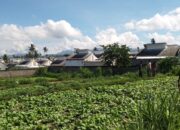 Pendampingan Babinsa Dorong Produktivitas Sawi Petani Lokal