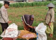Polsek Labuapi Dukung Ketahanan Pangan di Karang Bongkot