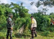 Bergerak dari Desa, Bhabinkamtibmas dan Babinsa Kawal Ketahanan Pangan Nasional di Gelogor