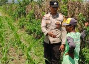 Strategi Humanis Bhabinkamtibmas Desa Labuapi Manfaatkan Pekarangan Rumah untuk Ketahanan Pangan Nasional
