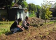 Dukung Ketahanan Pangan Nasional, Polsek Batulayar Motivasi Warga Senteluk Manfaatkan Setiap Jengkal Tanah