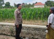 Langkah Nyata Polsek Labuapi Dorong Kemandirian Pangan Melalui Edukasi Agraris ke Warga