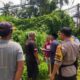 Pemanfaatan Lahan Kosong di Meninting Dongkrak Pangan Keluarga