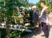 Cara Polsek Labuapi Perkuat Ketahanan Pangan di Desa