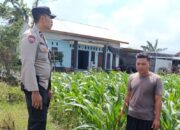Cara Polsek Labuapi Wujudkan Mandiri Pangan