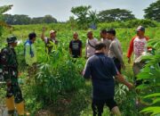 Polri Dorong Warga Batulayar Barat Manfaatkan Lahan Kosong
