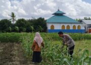Dukung Ketahanan Pangan, Polsek Labuapi Edukasi Warga Desa