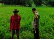 Polsek Labuapi Apresiasi Inisiatif Warga Desa Bengkel yang Sukses Bangun Ketahanan Pangan dari Rumah