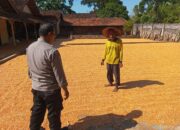 Polri Dukung Astacita, Polsek Semanding Polres Tuban Turun Cek Tanaman jagung milik Warga di Desa Kowang