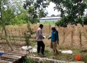Polri Dukung Astacita, Polsek Merakurak Polres Tuban Turun Cek Tanaman Jagung Warga di Desa Temandang