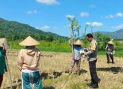 Polsek Gerung Pantau Produktivitas Lahan Pertanian di Babussalam