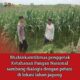 Dukung Astacita, Polsek Jatirogo Polres Tuban Pantau Langsung Lahan Jagung dan dialogis dengan petani Desa Sidomulyo