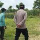 Polri Dukung Astacita, Polsek Semanding Polres Tuban Turun Cek Tanaman jagung milik Warga di Desa Semanding