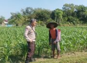 Genjot Swasembada Pangan, Polsek Batulayar Dorong Pertanian Pekarangan