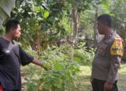 Polsek Batulayar Dorong Ketahanan Pangan di Desa Senggigi