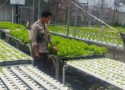Kemandirian Pangan Warga Bengkel Lombok Barat Dipuji