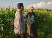 Polsek Labuapi Dorong Kemandirian Pangan Keluarga Lewat Pemanfaatan Lahan Kosong di Lombok Barat