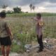 Cara Bhabinkamtibmas Lombok Barat Edukasi Petani Melejitkan Hasil Panen