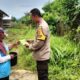 Gaya Hidup Baru Warga Labuapi Sulap Lahan Terbengkalai Menjadi Pekarangan Bergizi Penopang Dapur Rumah