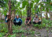 Sinergi Polsek Batulayar dan Petani Bengkaung Genjot Ekonomi Lewat Hortikultura