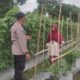 Cara Bhabinkamtibmas Polsek Labuapi Sukseskan Ketahanan Pangan Desa