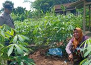 Langkah Nyata Polsek Labuapi Bantu Warga Merembu Jaga Ketahanan Pangan Keluarga