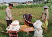 Langkah Konkret Polsek Labuapi Perkuat Ketahanan Pangan Lewat Peran Bhabinkamtibmas