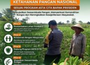 ANGGOTA POLSEK GRABAGAN SAMBANG DESA BINAAN, PANTAU LAHAN JAGUNG DAN MEMASTIKAN SISTEM IRIGASI MASIH LANCAR
