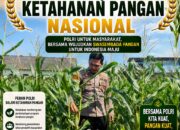 Polsek Soko Polresta Tuban Turun Langsung Cek Tanaman Jagung Warga