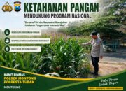 Polsek Montong Polresta Tuban Turun Cek Tanaman jagung Warga di Desa Pucangan