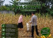 Polri Dukung Astacita, Polsek Semanding Polresta Tuban Turun Cek Tanaman jagung milik Warga di Desa Jadi