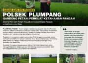 Polsek Plumpang Polresta Tuban Turun Langsung Cek Tanaman Jagung Warga