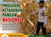 Mendukung Program Ketahanan Pangan Nasional Anggota Bhabinkamtibmas Polsek Senori Polresta Tuban Memantau Kondisi Tanaman Jagung Warga Desa Jatisari