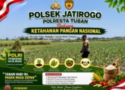 Dukung Asta Cita, Polsek Jatirogo Turun Langsung Pantau Ladang Jagung Warga Desa Demit