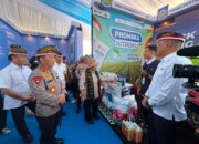 Ketua Komisi IV DPR RI Dorong Penguatan Produksi Bawang Putih untuk Kurangi Impor