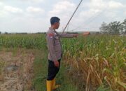 Dukung Program Astacita Presiden RI, Polsek Kenduruan Polresta Tuban Kawal Ketahanan Pangan Nasional