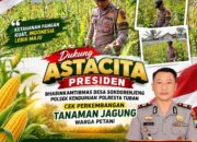 Dukung Astacita Presiden, Bhabinkamtibmas Desa Sokogrenjeng Polsek Kenduruan Polresta Tuban Cek Perkembangan Tanaman Jagung Warga