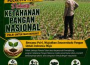 Wujudkan Swasembada Pangan, Polsek Jatirogo sambang lokasi lahan Jagung di Desa Bader