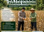 DALAM RANGKA MENDUKUNG PROGRAM KETAHANAN PANGAN, ANGGOTA POLSEK PARENGAN POLRESTA TUBAN SAMBANGI PETANI JAGUNG DI DESA SELOGABUS KEC. PARENGAN