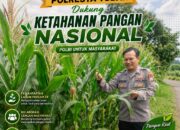Dukung Astacita, Polsek Palang Polresta Tuban Pantau Langsung Lahan Jagung milik warga Desa Wangun