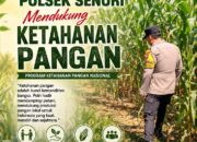 Mendukung Program Ketahanan Pangan Nasional Anggota Bhabinkamtibmas Polsek Senori Polresta Tuban Lakukan Pemantauan Tanaman Jagung Warga Desa Sendang